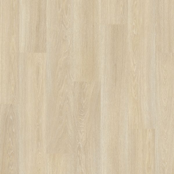 EL3574_TopShot-Square HR
