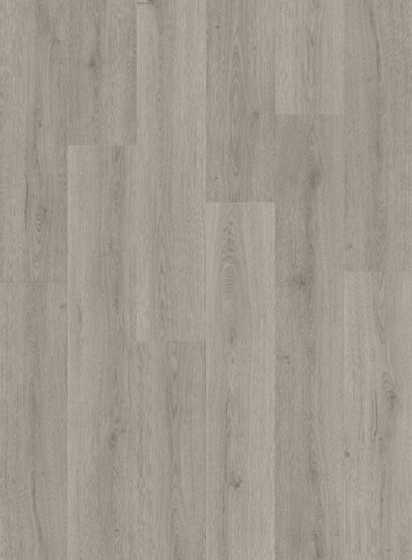 cq5dam web (1)