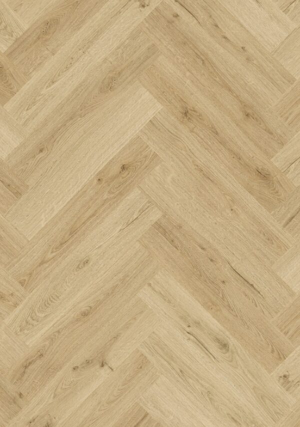 cq5dam web (1)