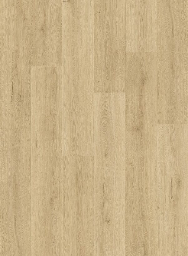 cq5dam web (12)
