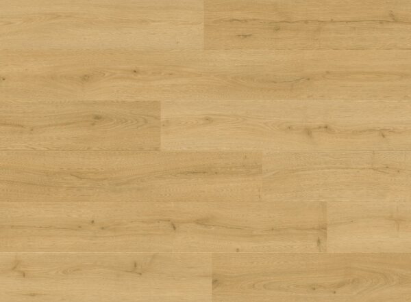 cq5dam web (2)