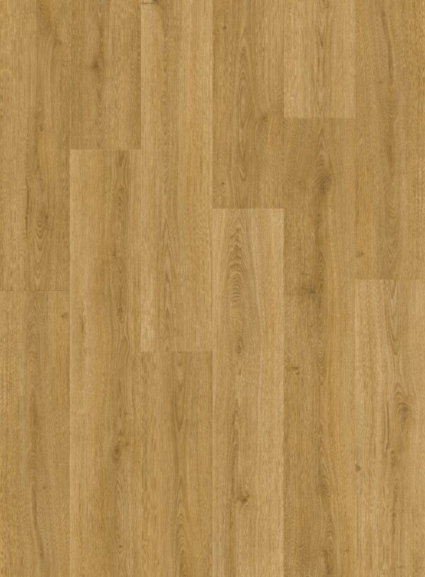 cq5dam web (2)
