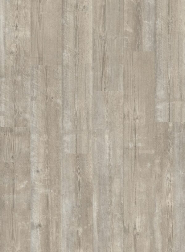 cq5dam web (3)
