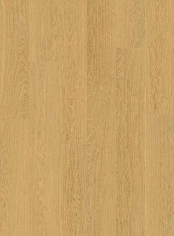cq5dam web (3)