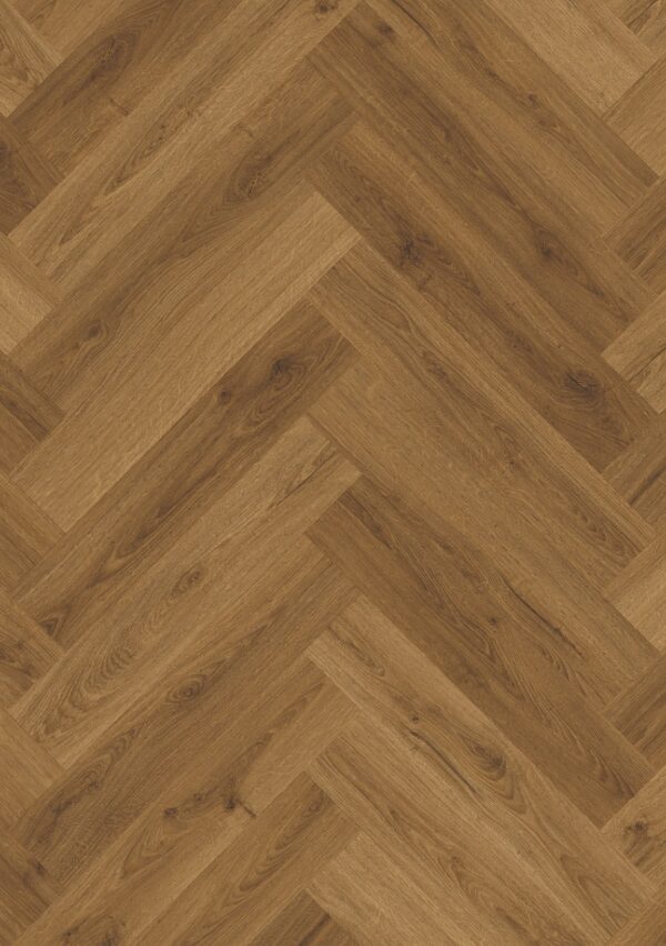 cq5dam web (3)