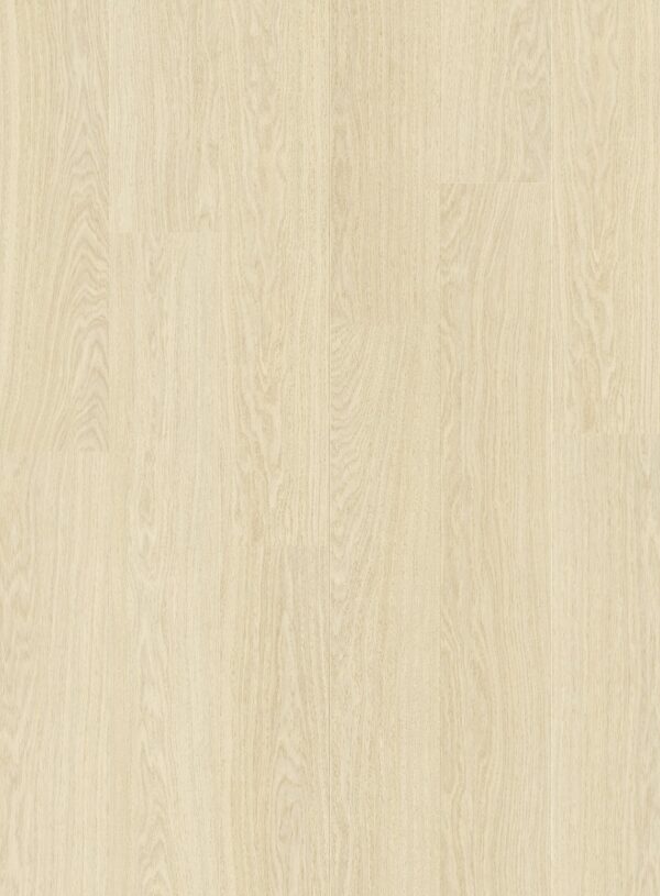 cq5dam web (4)