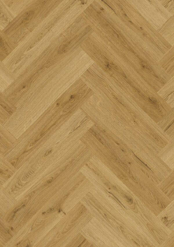 cq5dam web (4)
