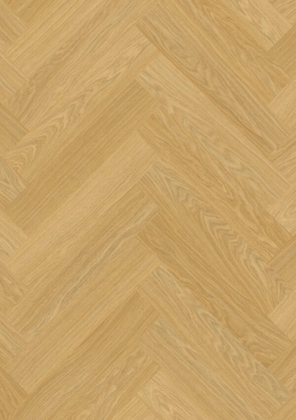cq5dam web (5)