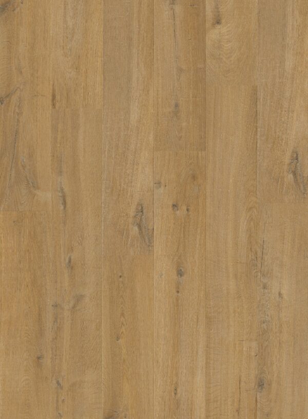cq5dam web (6)