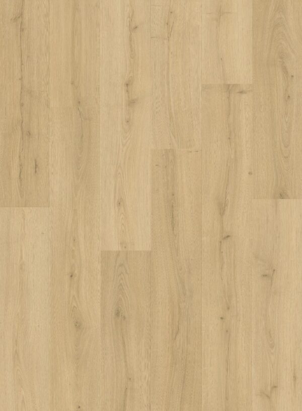 cq5dam web (6)