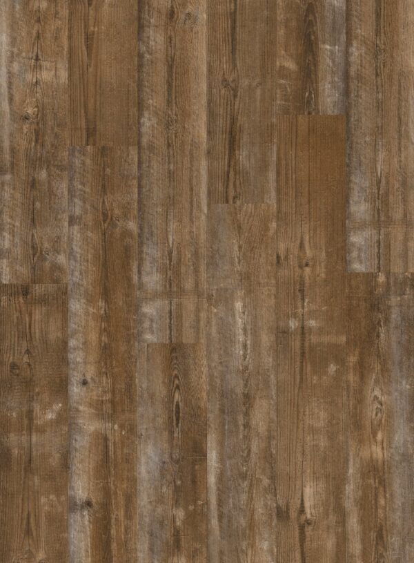 cq5dam web (6)