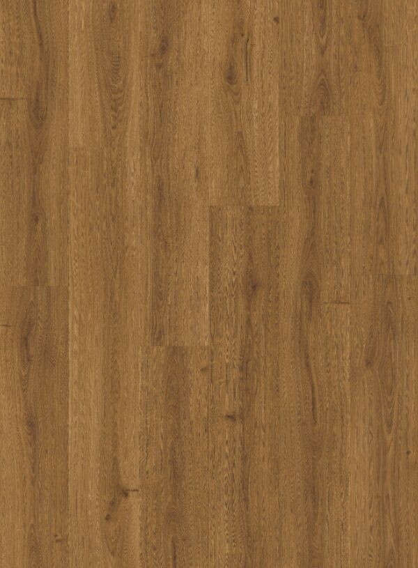 cq5dam web (7)