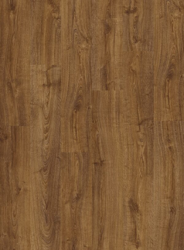 cq5dam web (7)
