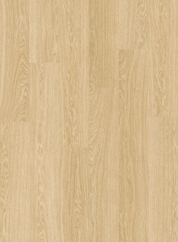 cq5dam web (8)