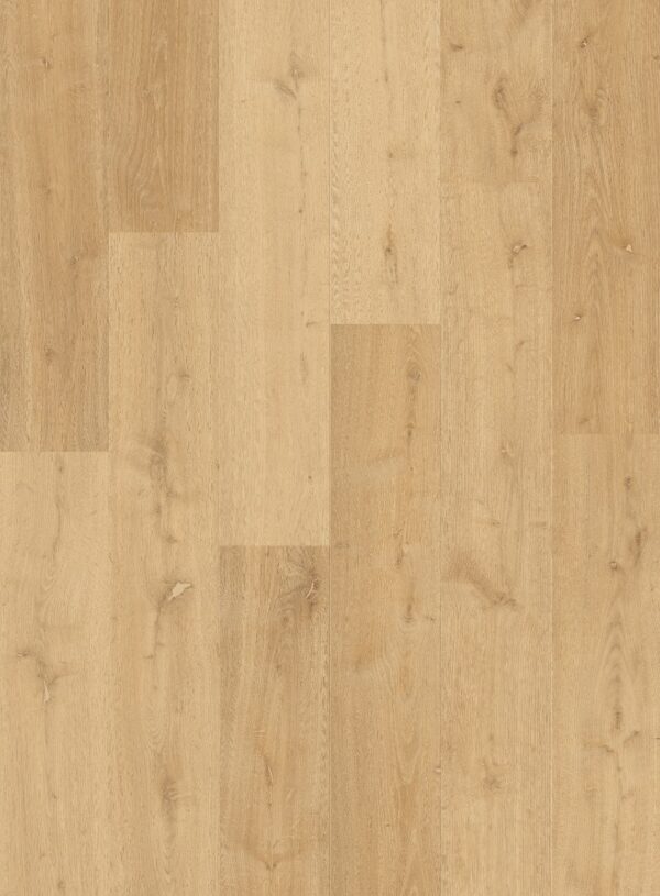 cq5dam web (8)