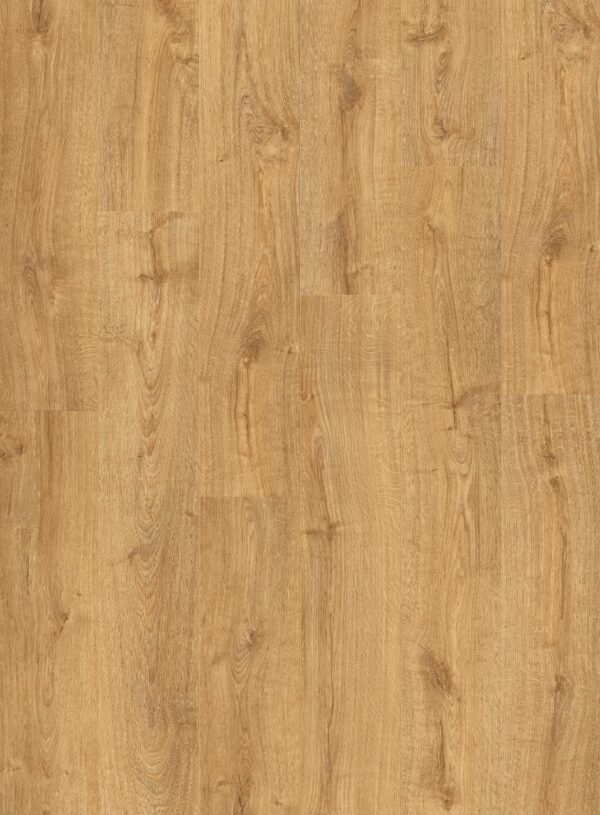 cq5dam web (9)