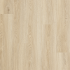 aurora_oak_1