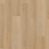 hartford_oak_3