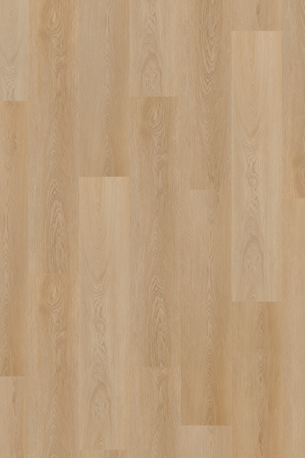hartford_oak_3