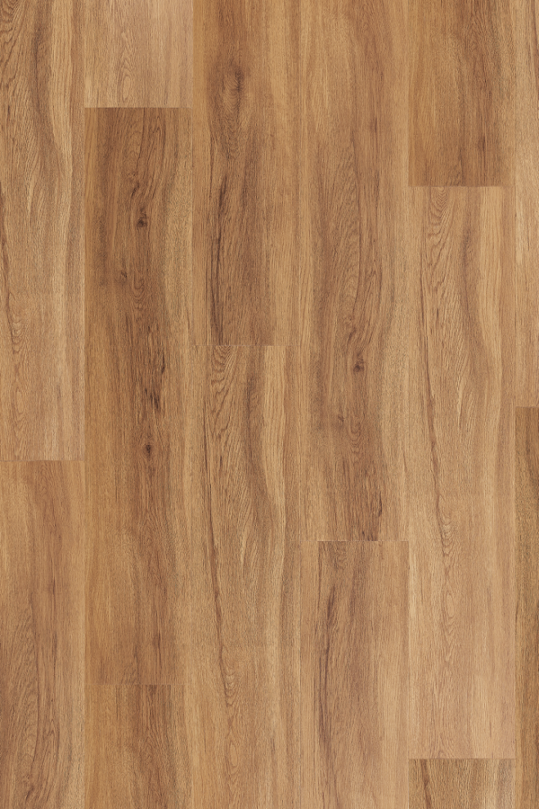 jersey_oak_3