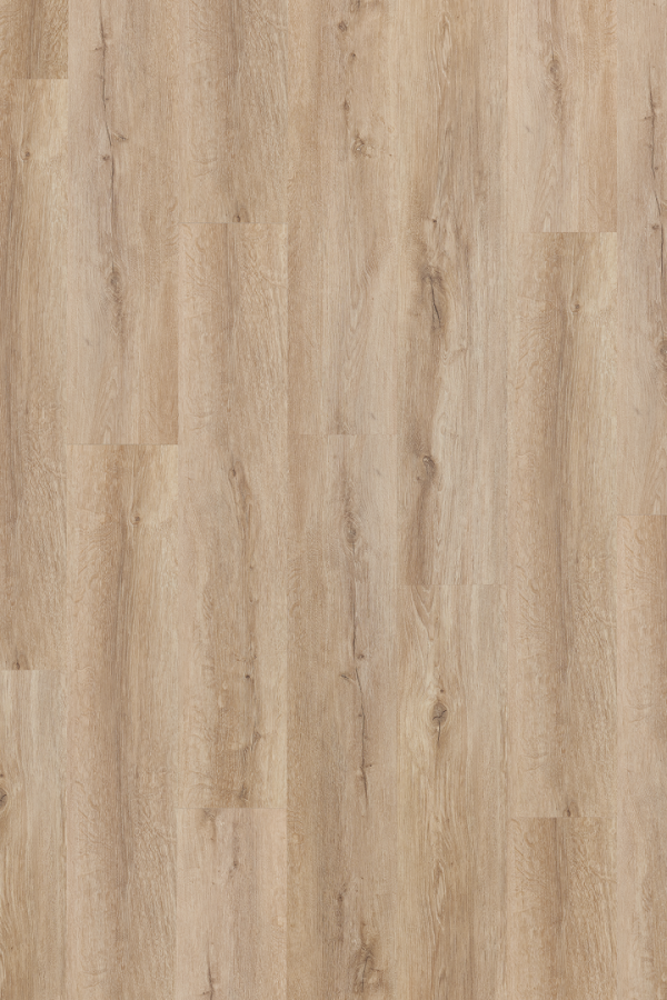 sherman_oak_3