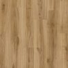 classic_oak_24837