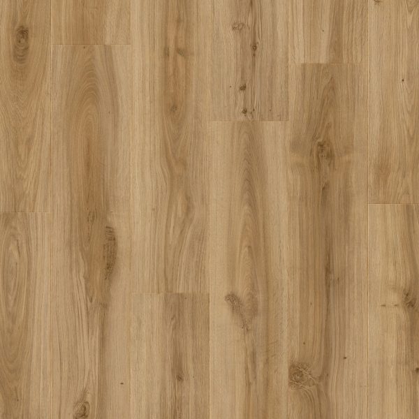 classic_oak_24837