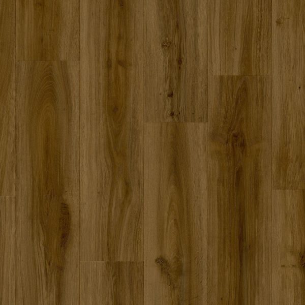 classic_oak_24881 (1)