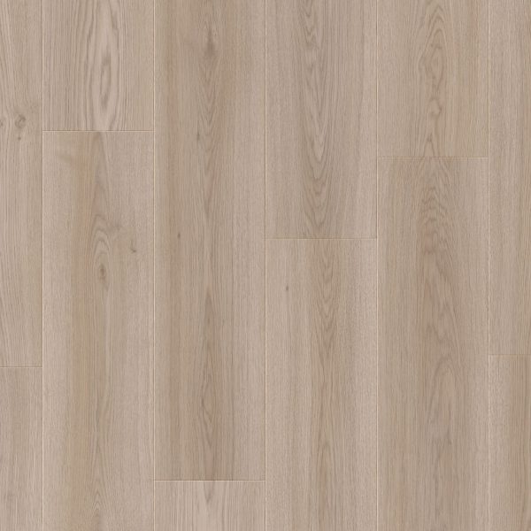 dingle_oak_13219 (1)