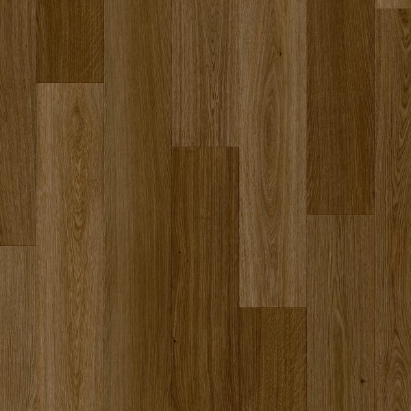 haarlemmer_oak_64865 (1)