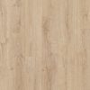 stanford_oak_65251 (1)
