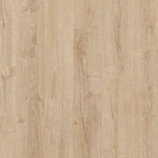 stanford_oak_65251 (1)