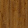 stanford_oak_65861 (1)