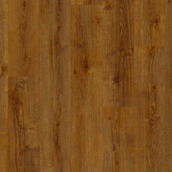 stanford_oak_65861 (1)
