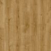 wistman_oak_63840 (1)