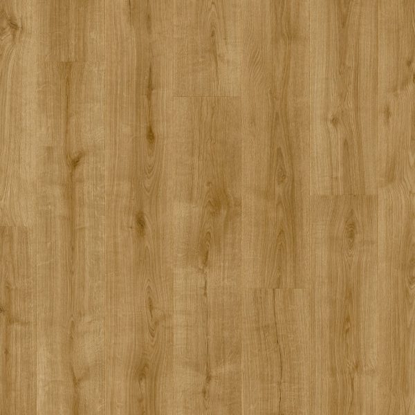 wistman_oak_63840 (1)
