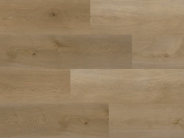 Oak-Maracdi